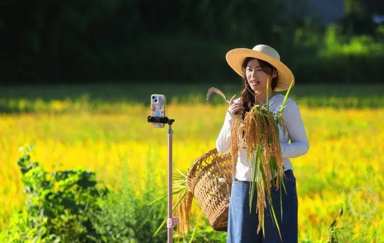 “三八”婦女節(jié)丨研究生畢業(yè)返鄉(xiāng)扎根基層 她用鏡頭講述鄉(xiāng)村故事