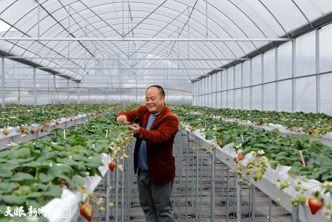 看見(jiàn)這雙手，我們讀懂了什么叫“把論文寫(xiě)在大地上”