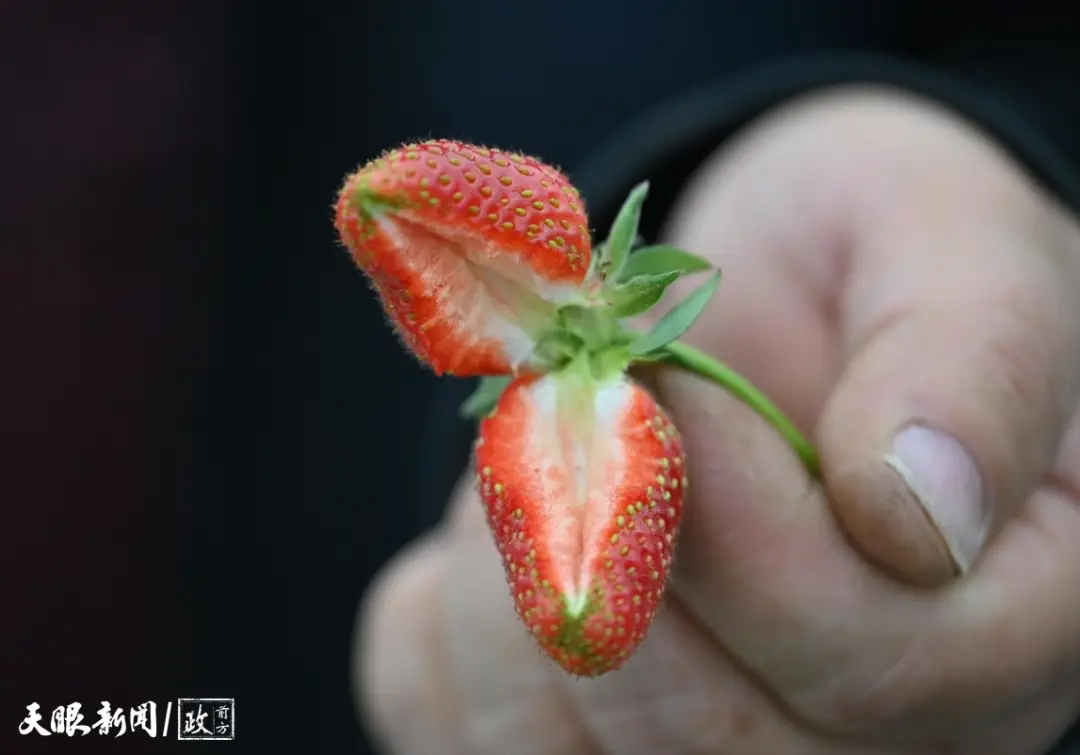 看見(jiàn)這雙手，我們讀懂了什么叫“把論文寫(xiě)在大地上”