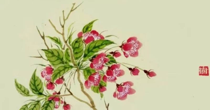 魏廣悅《豬尾巴、大學(xué)生及其他(佳木斯記憶60)》