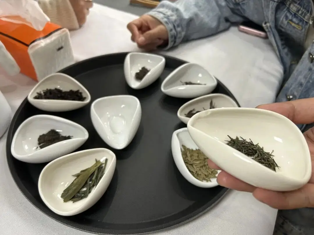 成都夜校即將開班，3月多區(qū)課程上新！舞蹈、配音、攝影、瑜伽、咖啡、化妝、羽毛球、八段錦…