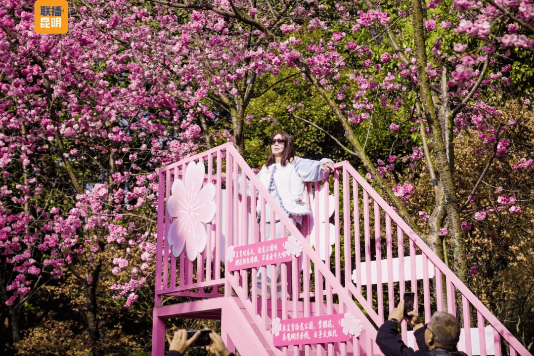 三八節(jié)限定！櫻花樹下，詩歌與鮮花皆為她