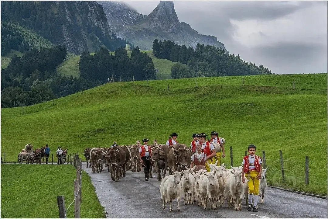 揭曉 | 2025年塞浦路斯第5屆SALAMIS國際攝影大賽（旅游組）獲獎公布