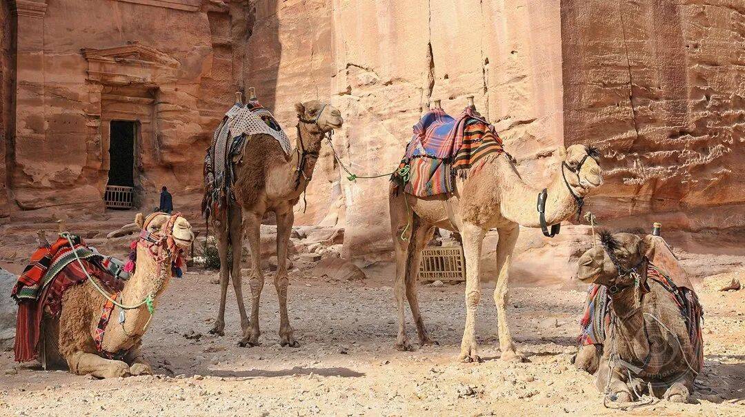 揭曉 | 2025年塞浦路斯第5屆SALAMIS國際攝影大賽（旅游組）獲獎公布