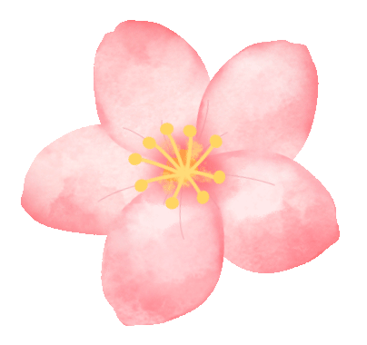 三八節(jié)限定！櫻花樹下，詩歌與鮮花皆為她