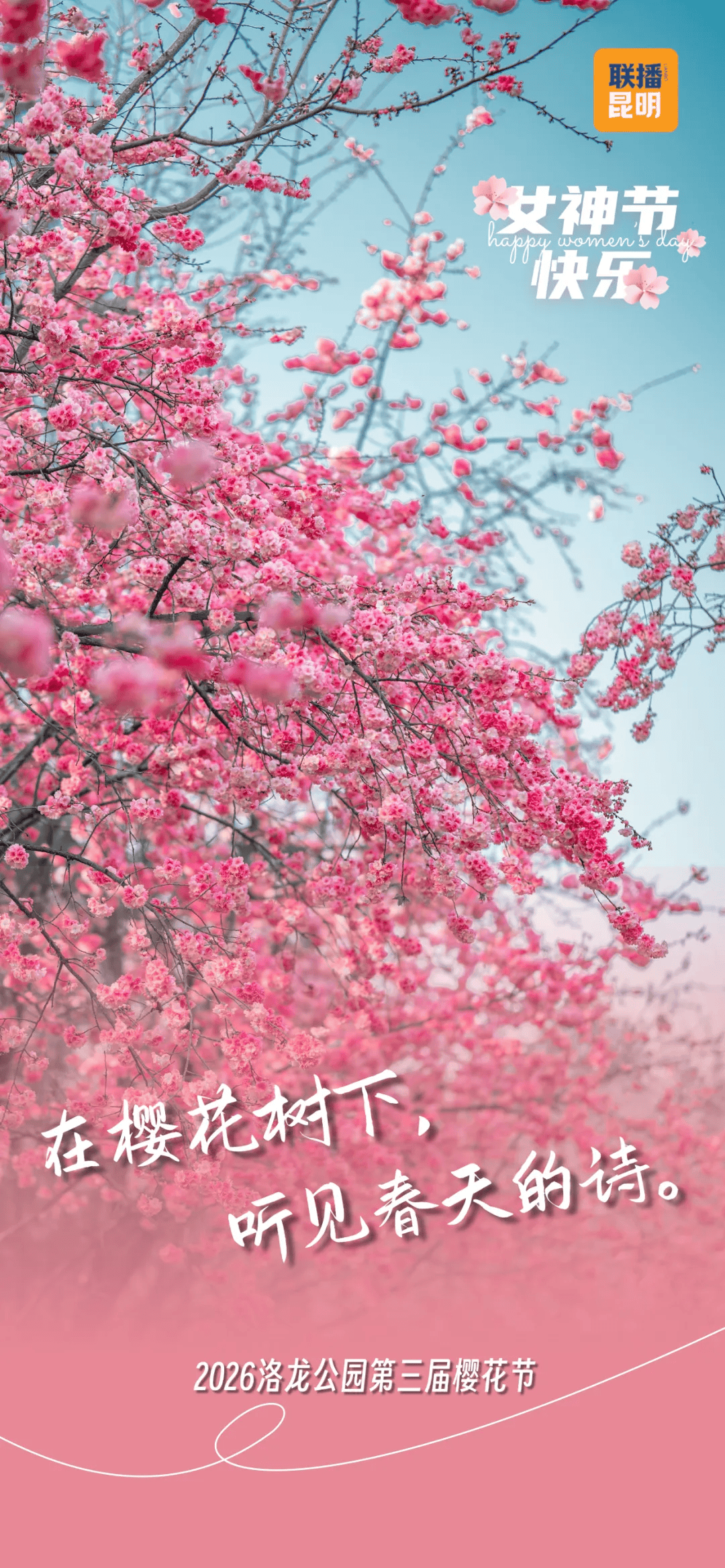 三八節(jié)限定！櫻花樹下，詩歌與鮮花皆為她