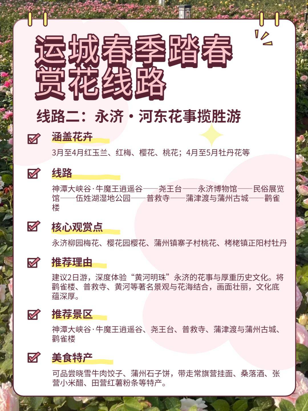 美景+美食！運(yùn)城踏春賞花路線上新！5條供選！