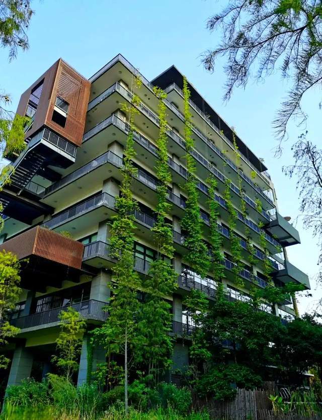 深圳寶安旅游，這些美景您來打卡過嗎？