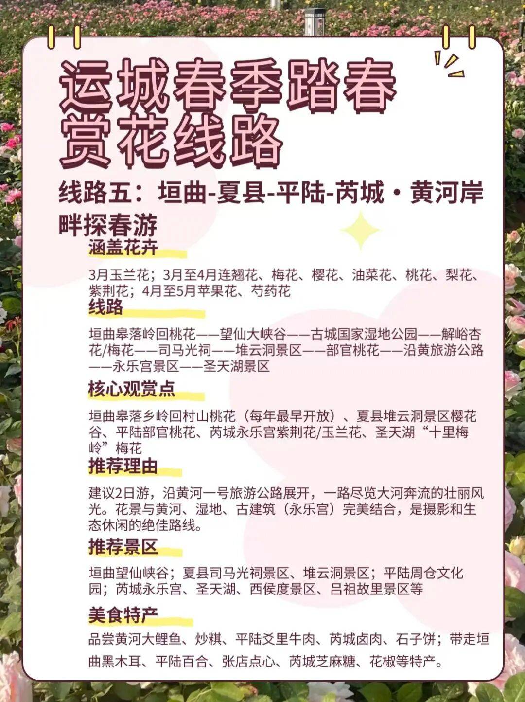 美景+美食！運(yùn)城踏春賞花路線上新！5條供選！