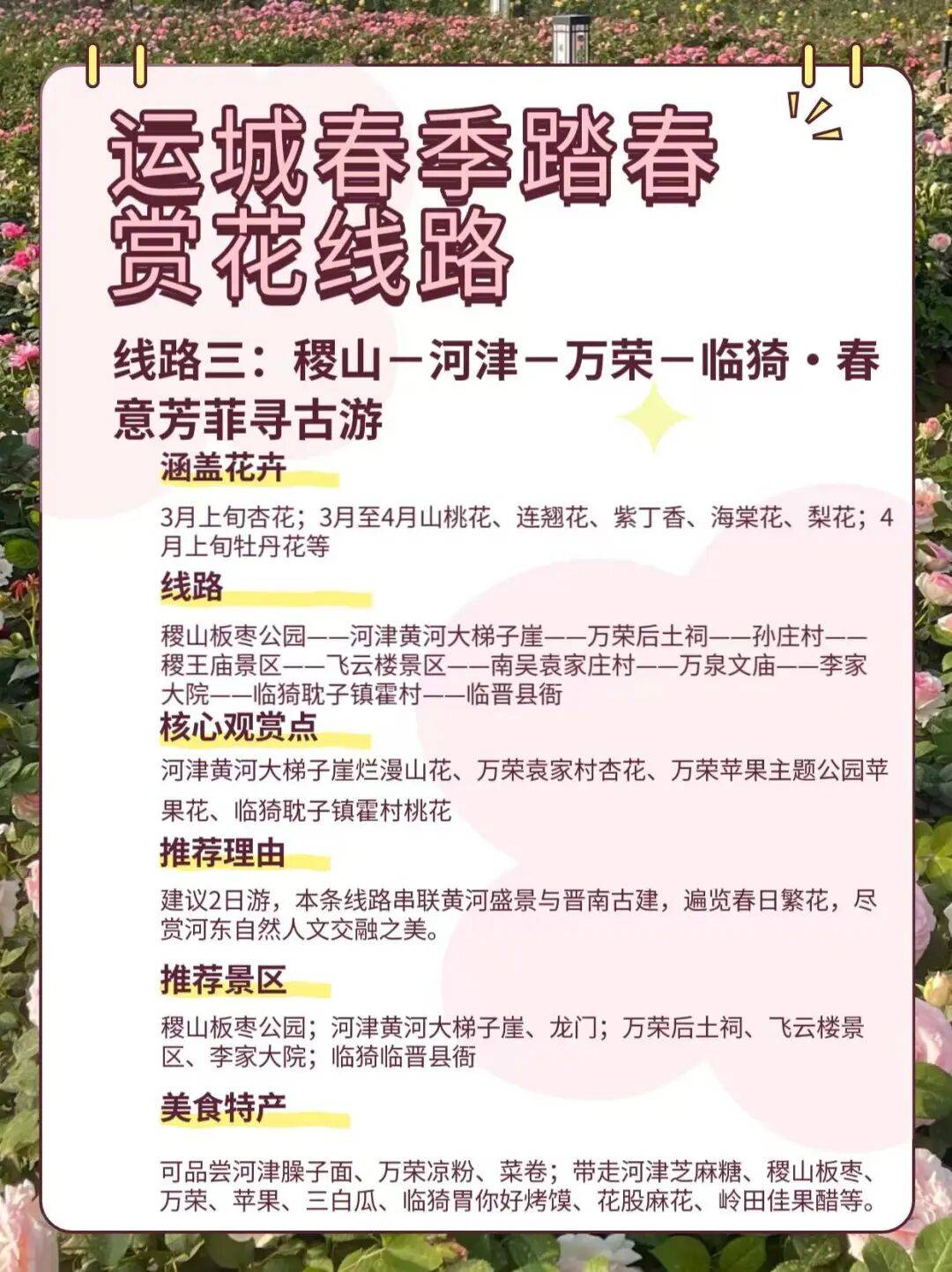 美景+美食！運(yùn)城踏春賞花路線上新！5條供選！