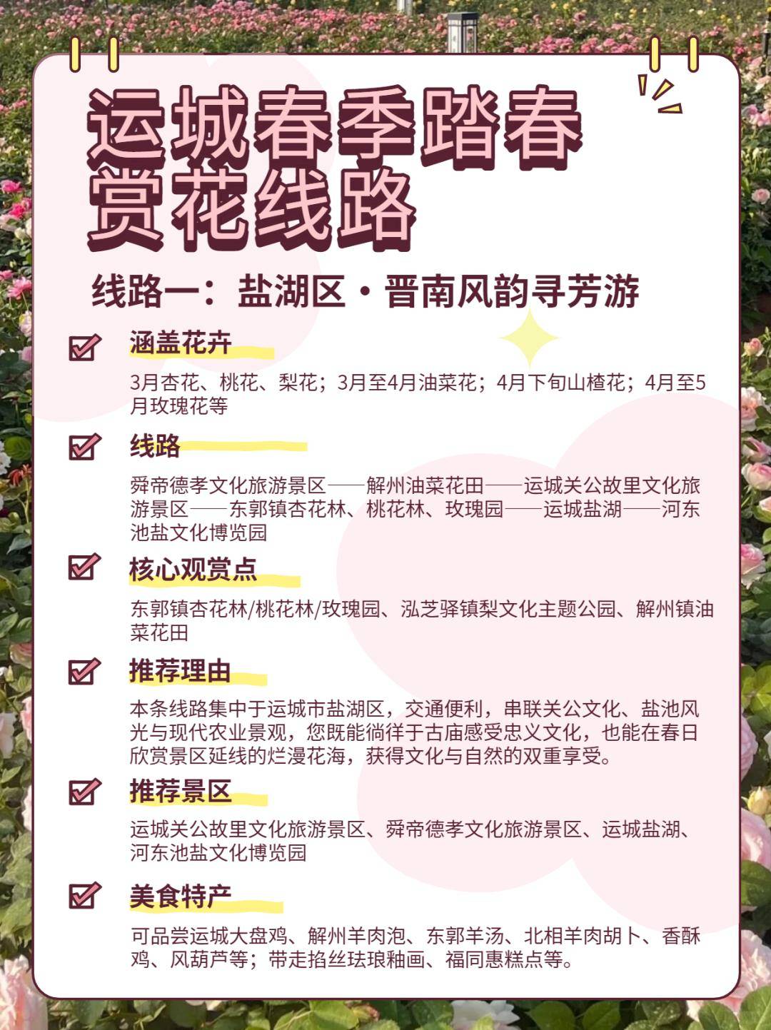 美景+美食！運(yùn)城踏春賞花路線上新！5條供選！