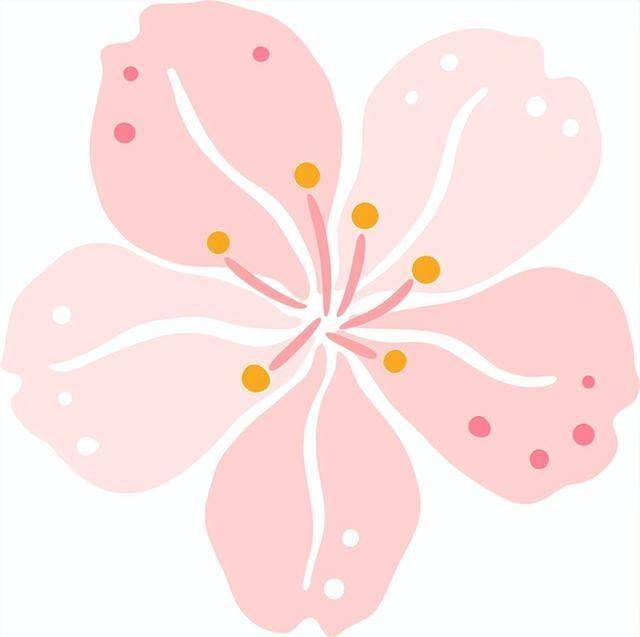 破萬！清涼寨櫻花旅游季啟幕