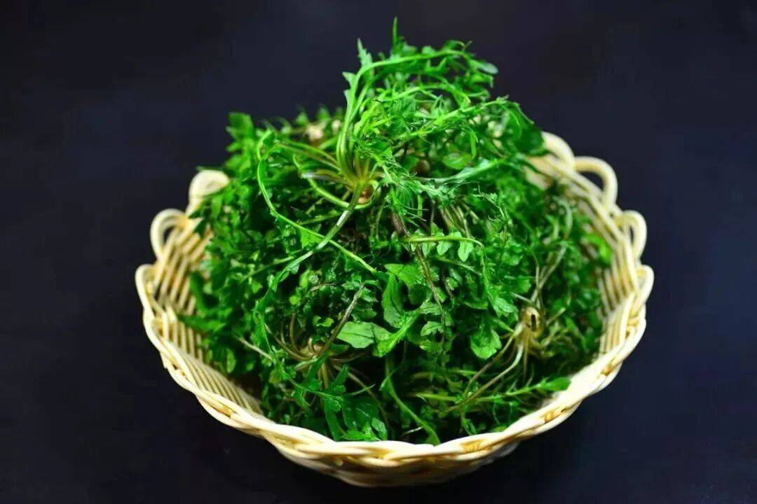 春季美食品鑒?陜西省鎮(zhèn)坪縣人的春天，都吃什么呢？