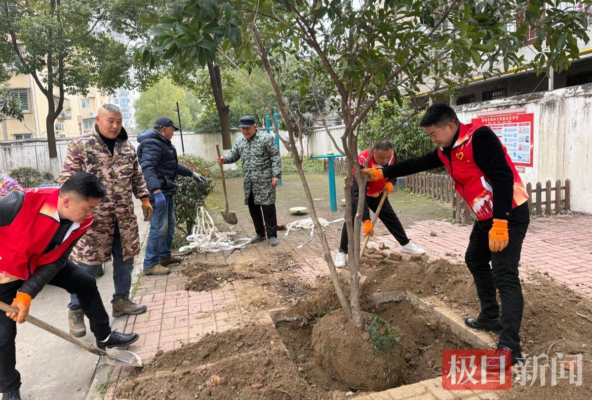 “房子是租的，但生活是自己的！”他們在公租房小區(qū)種下“歸屬感”