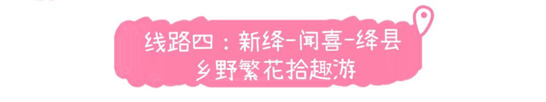美景+美食！運(yùn)城踏春賞花路線上新！5條供選！
