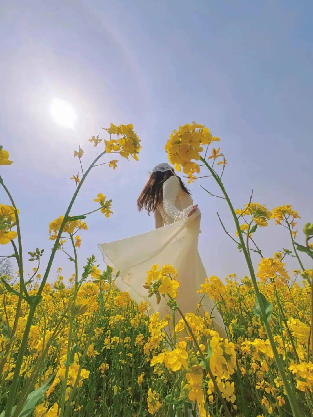 美景+美食！運(yùn)城踏春賞花路線上新！5條供選！