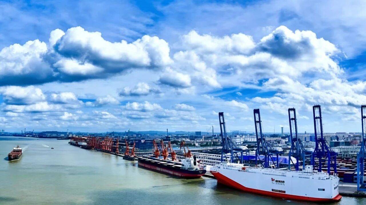 出口反超進口！麻涌新沙港護航“中國智造”汽車出海