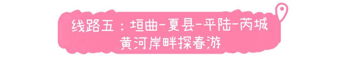 美景+美食！運(yùn)城踏春賞花路線上新！5條供選！