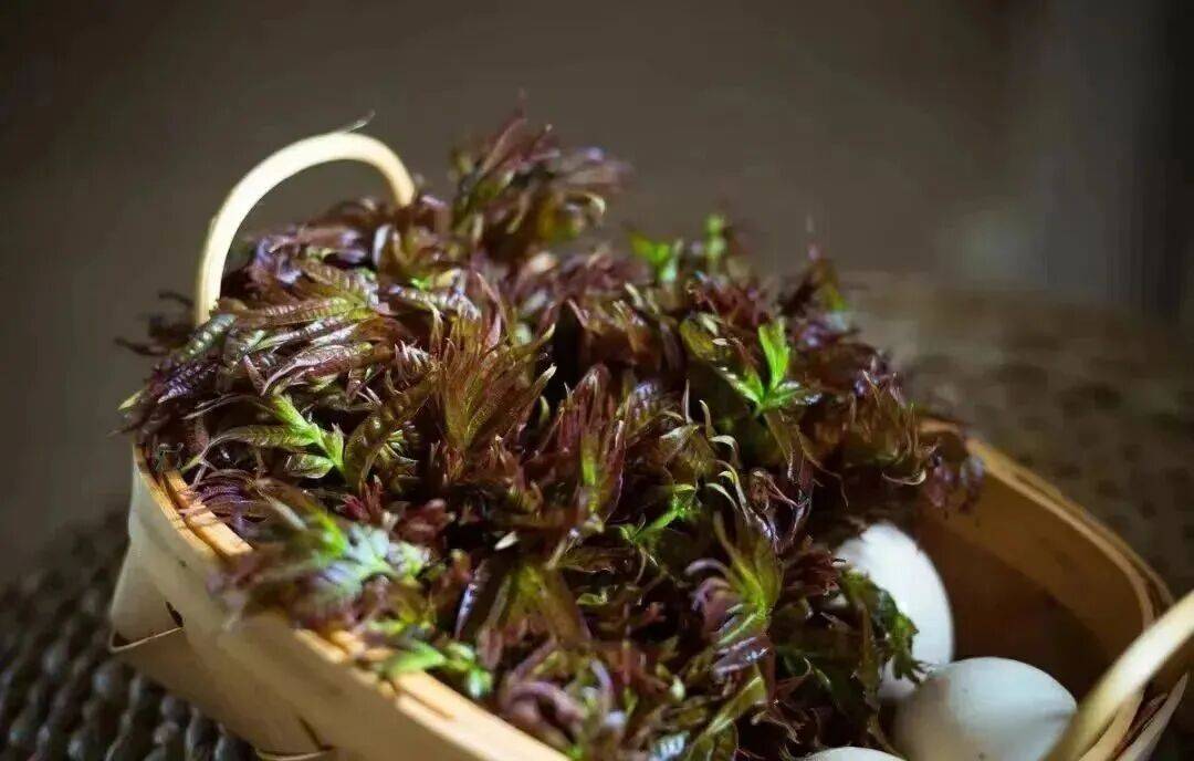 春季美食品鑒?陜西省鎮(zhèn)坪縣人的春天，都吃什么呢？