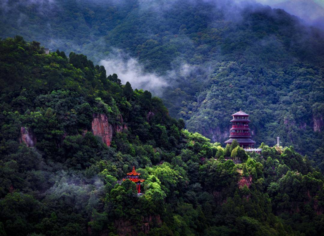 美景+美食！運(yùn)城踏春賞花路線上新！5條供選！