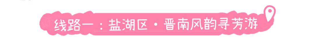 美景+美食！運(yùn)城踏春賞花路線上新！5條供選！