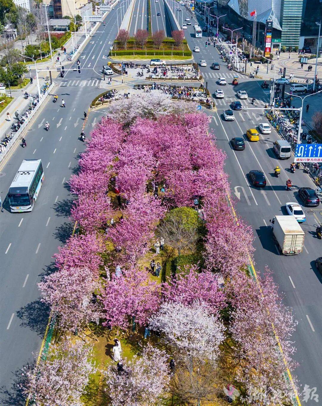 早安·黃石 | 黃石這些崗位招聘計(jì)劃調(diào)整 / 周杰倫即將發(fā)布新專(zhuān)輯