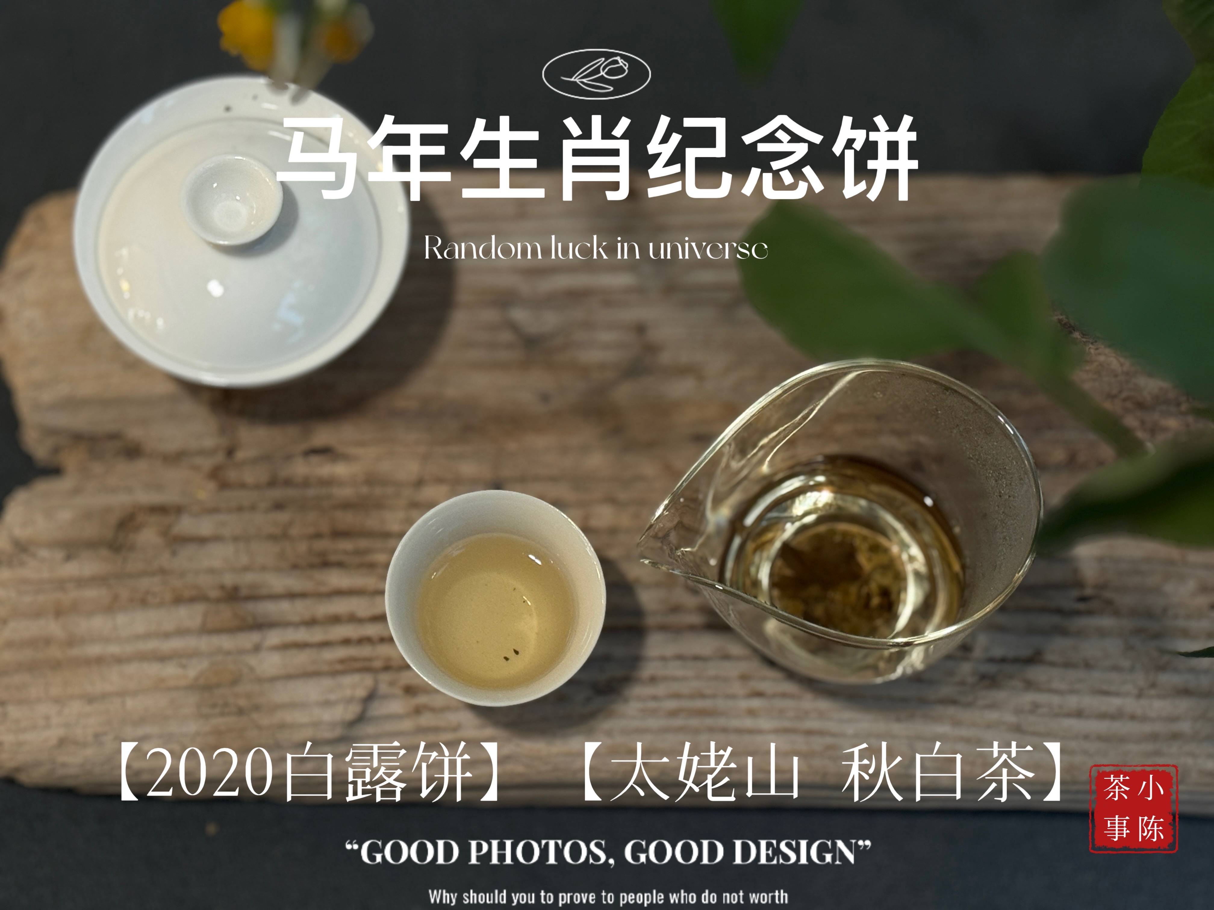 原創(chuàng)收藏白茶，我都只存白茶餅，因?yàn)樯⒉钑?huì)跑氣串味變質(zhì)？