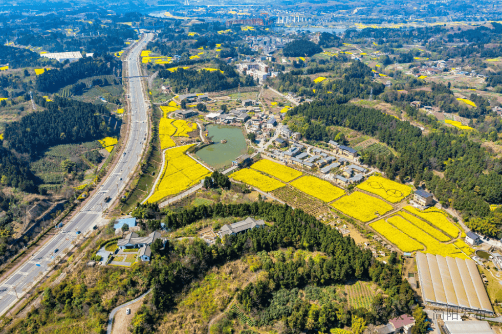 石鐘鎮(zhèn)前鋒村：春日盛景激活鄉(xiāng)村旅游新動能