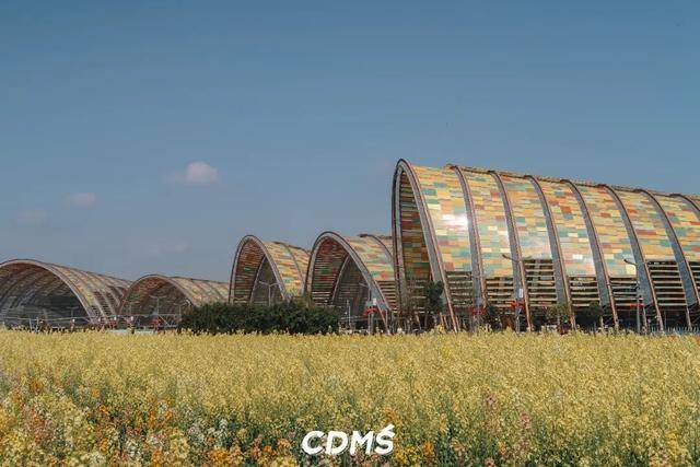 收藏！新津美食地圖更新了