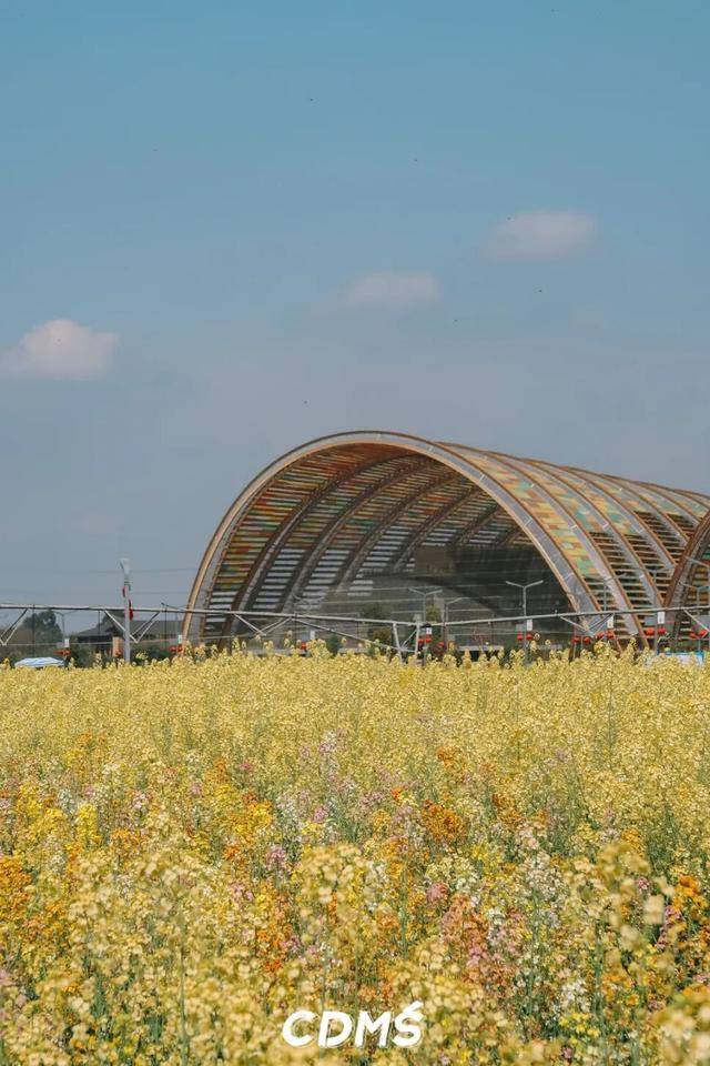 收藏！新津美食地圖更新了