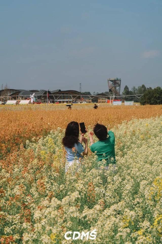 收藏！新津美食地圖更新了