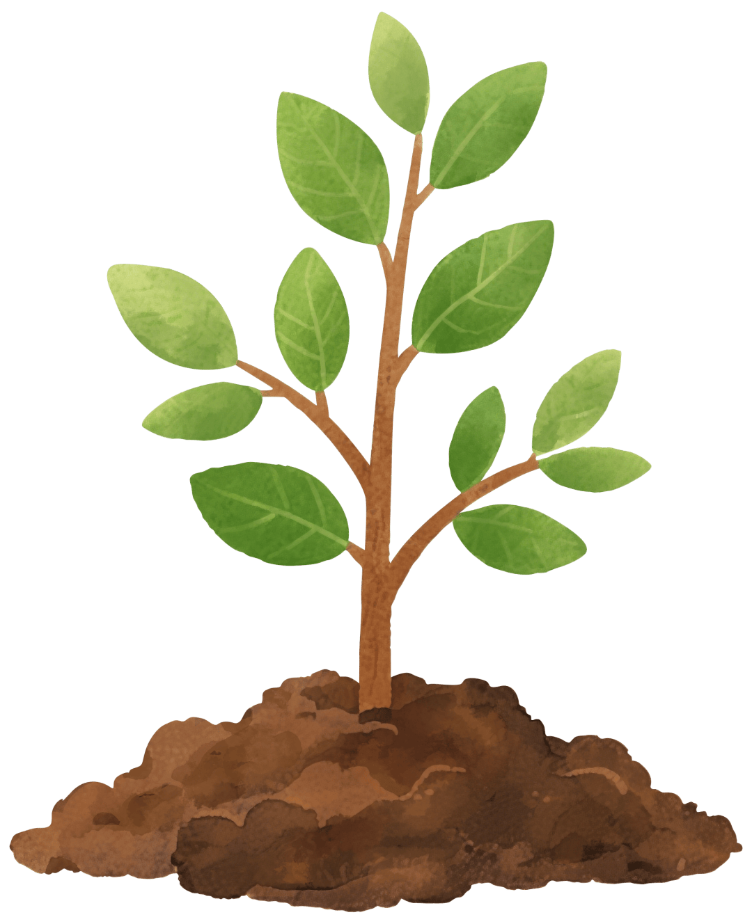 成都出發(fā)適合3月去的8個旅游城市推薦！