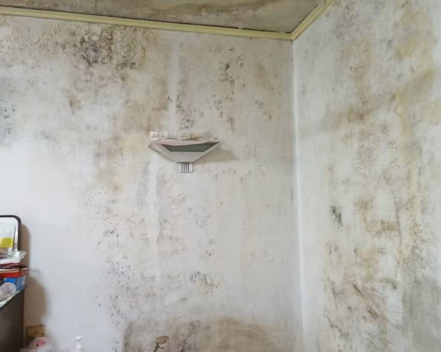 臥室漏水墻壁發(fā)霉地板鼓脹 高齡老人4個月寢食難安