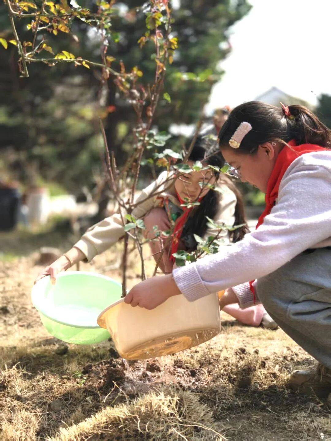 蘇州市山塘中心小學(xué)校開展植樹節(jié)活動