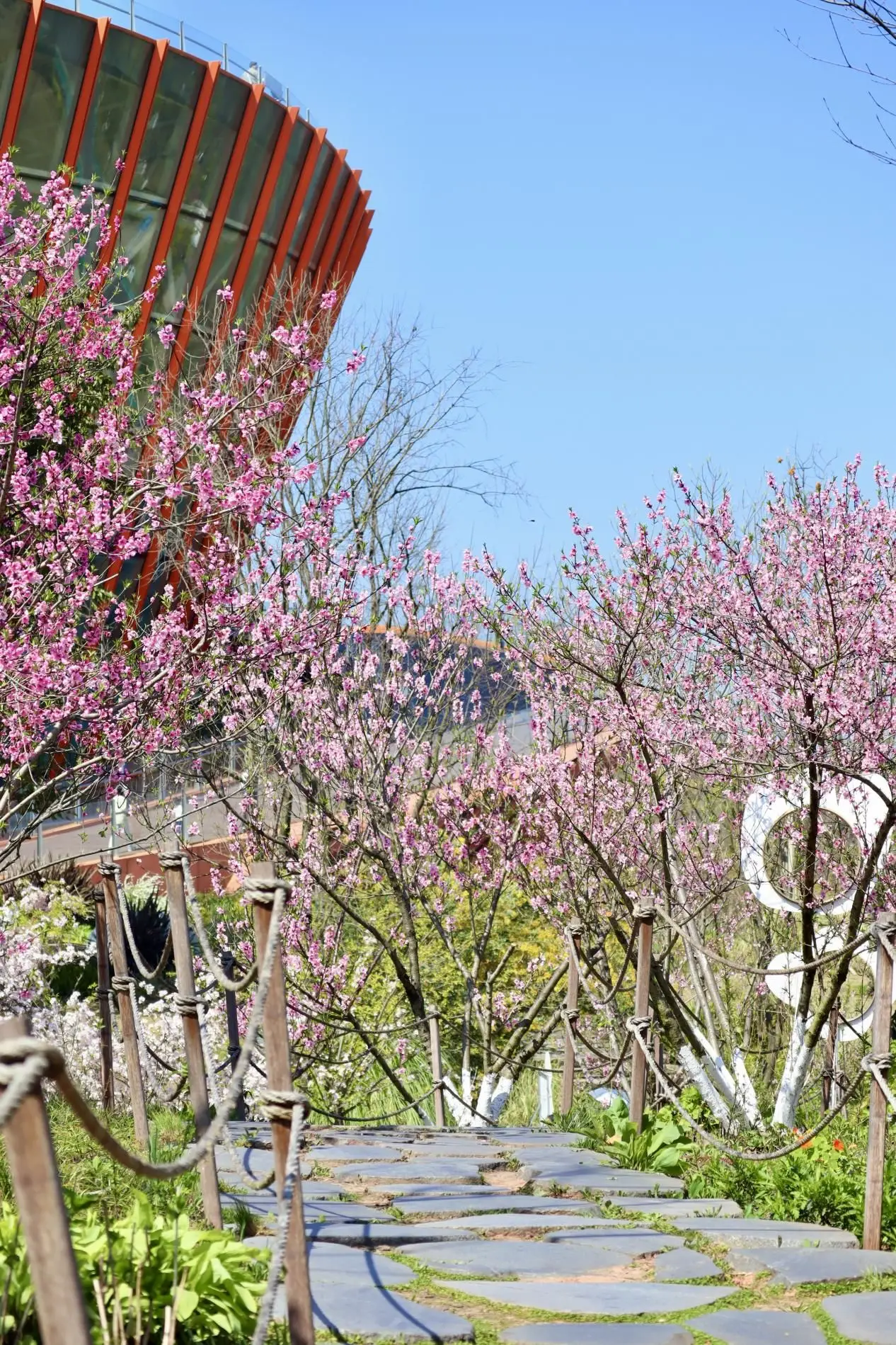 快收藏！丹景臺春日賞花徒步攻略來了
