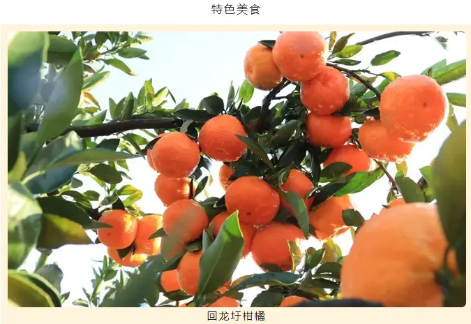 湘超冠軍城永州美景美食地圖上新了！趕緊收藏分享