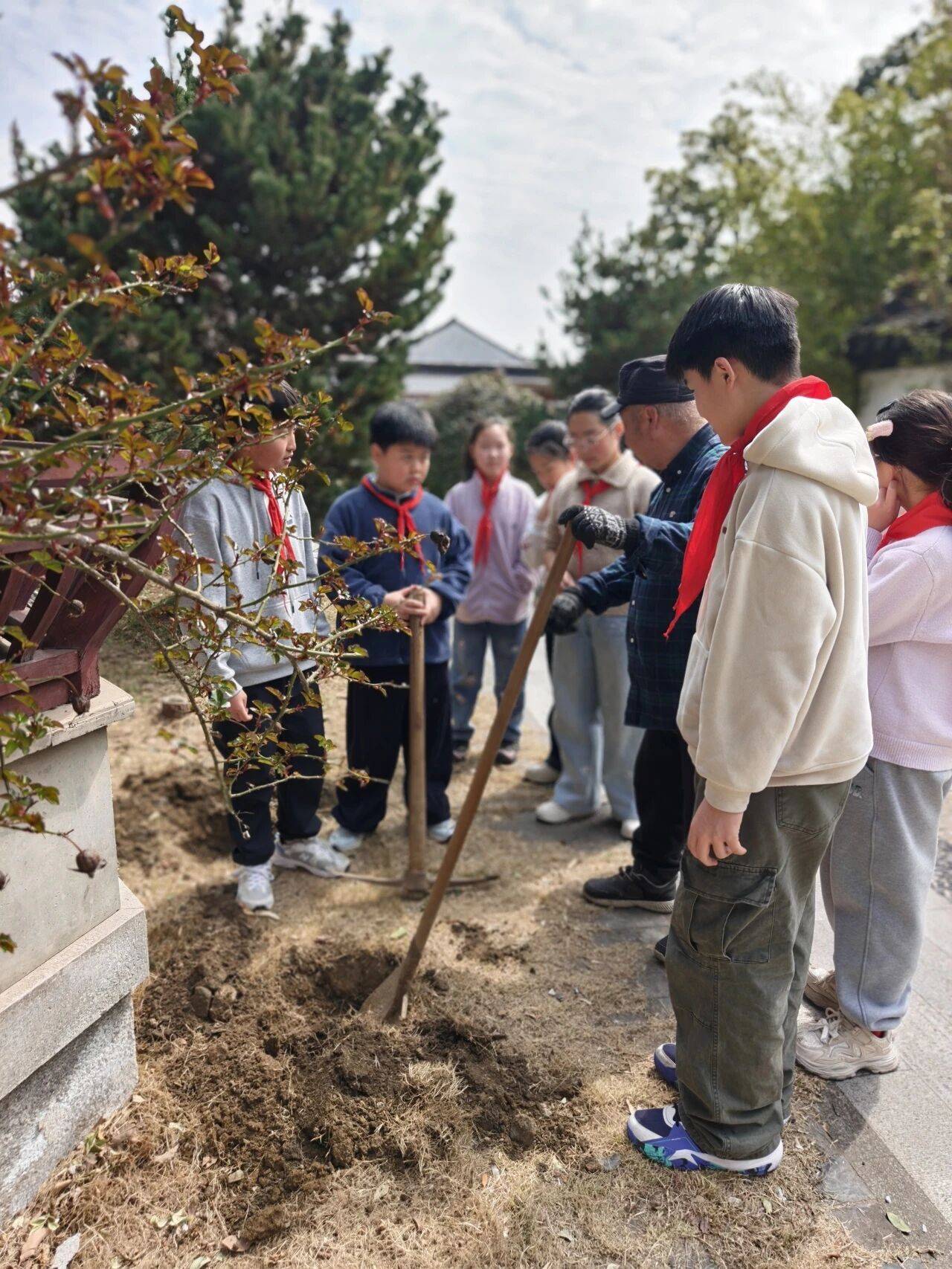 蘇州市山塘中心小學(xué)校開展植樹節(jié)活動