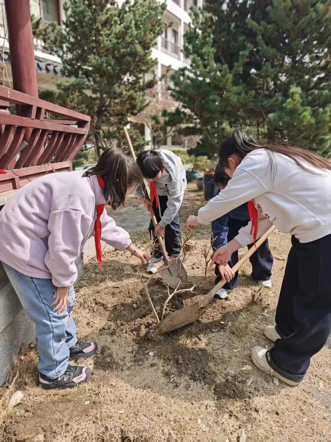 蘇州市山塘中心小學(xué)校開展植樹節(jié)活動