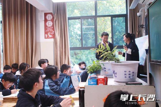 原創(chuàng)南雅中學(xué)將中醫(yī)藥文化“種”進(jìn)學(xué)生心田