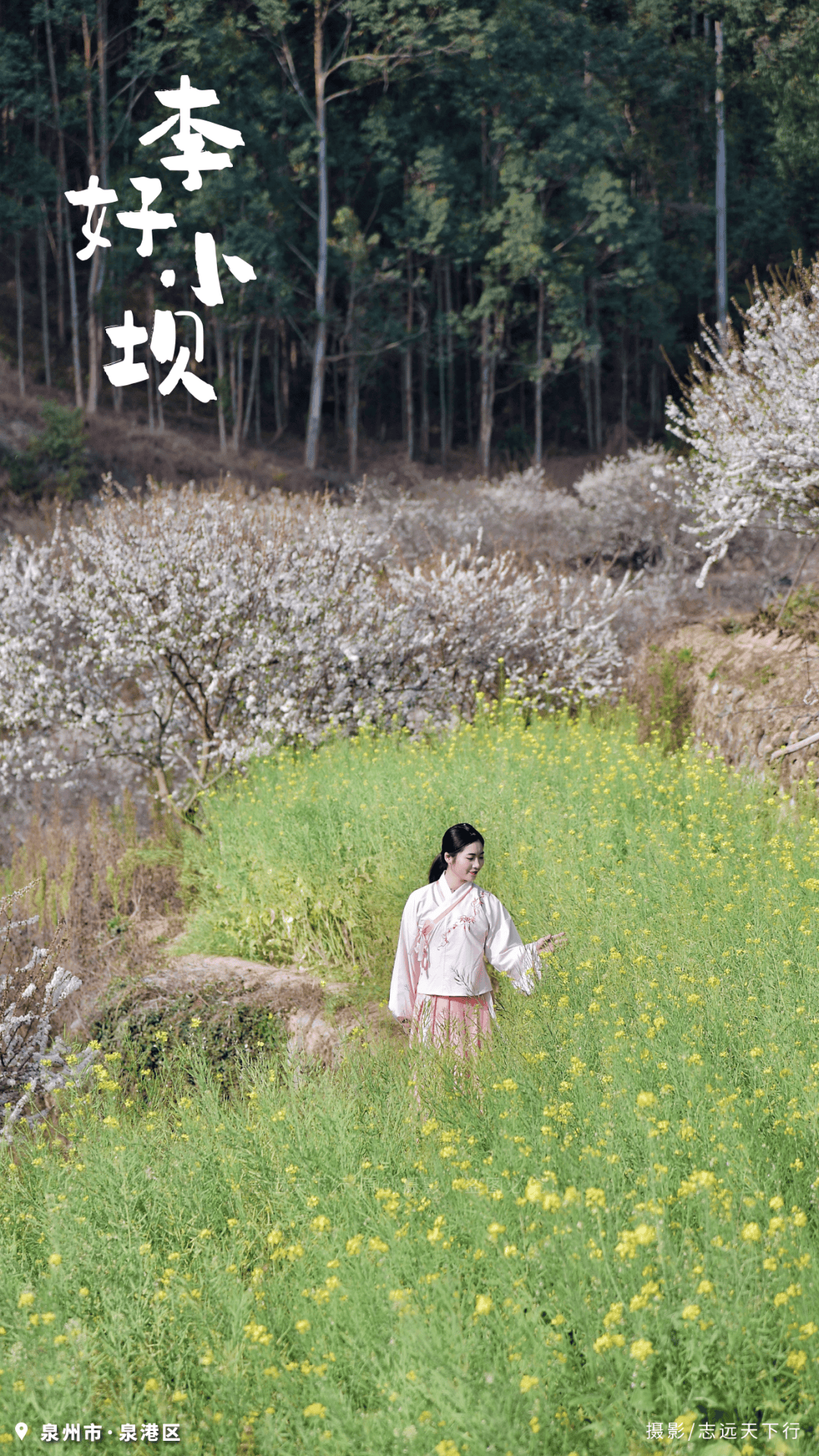 收藏！泉州春日賞花去哪里？花期+地址全攻略