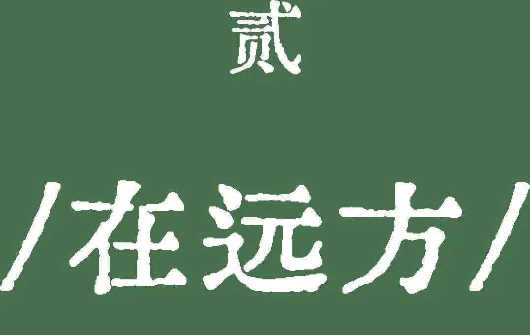 這部佟麗婭主演的舞蹈詩劇，用舞蹈書寫了民族的散文詩