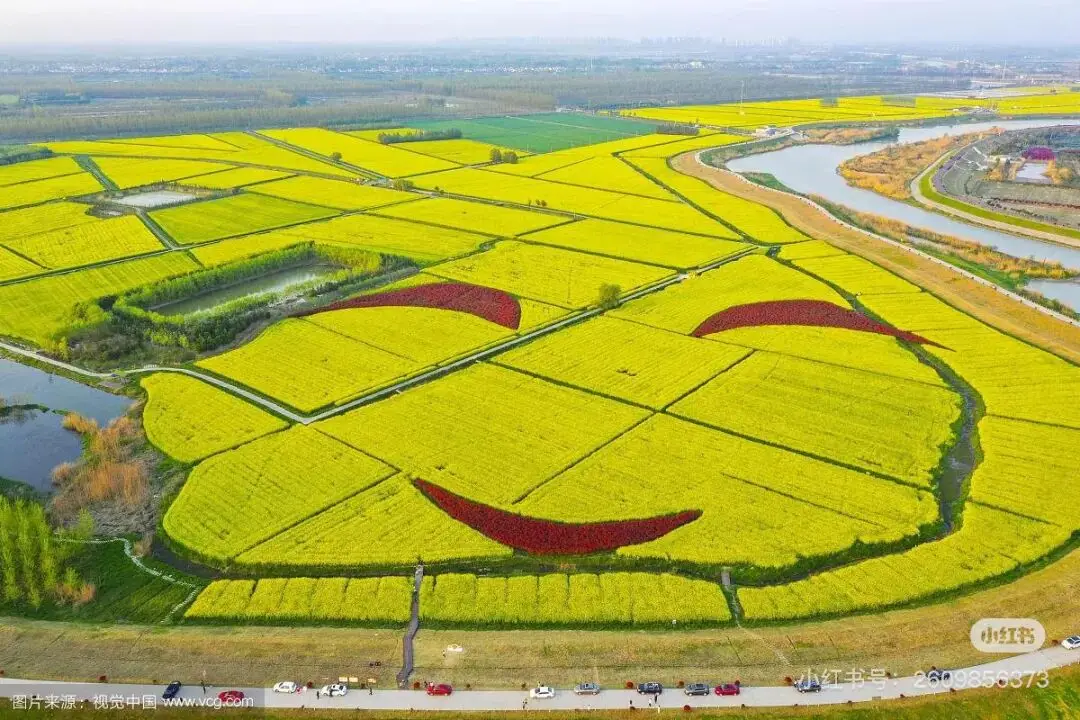 不用跑遠(yuǎn)！南京市區(qū)及周邊油菜花地圖，收藏出發(fā)