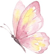 收藏！泉州春日賞花去哪里？花期+地址全攻略