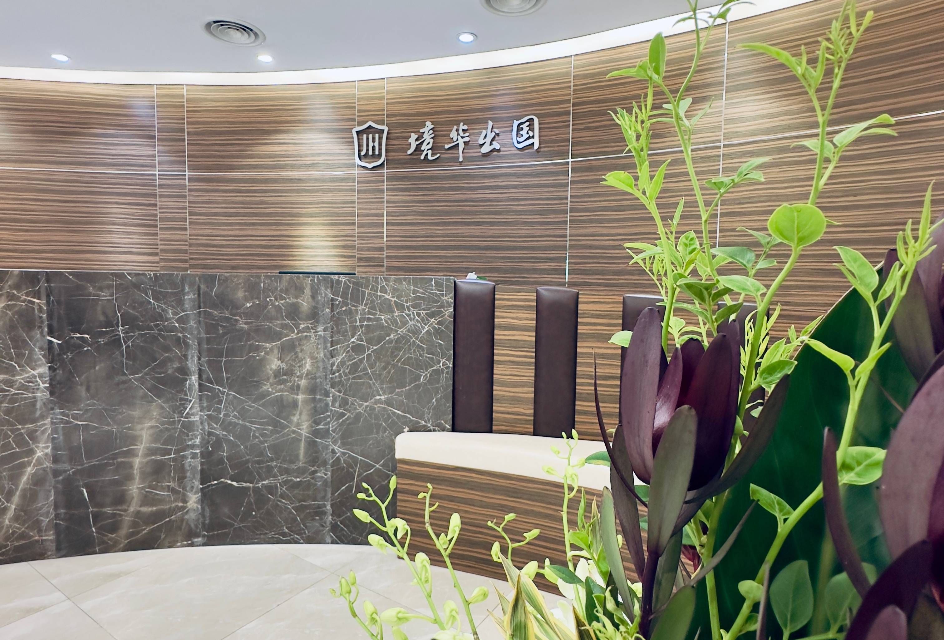 深度解析加拿大移民：權(quán)威中介助力技術(shù)移民之路