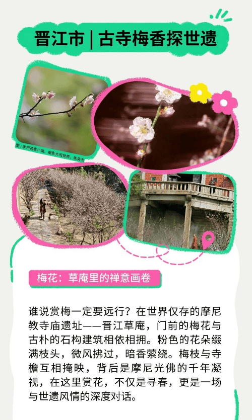 收藏！泉州春日賞花去哪里？花期+地址全攻略