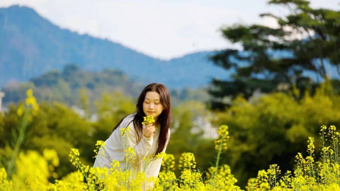 收藏！泉州春日賞花去哪里？花期+地址全攻略