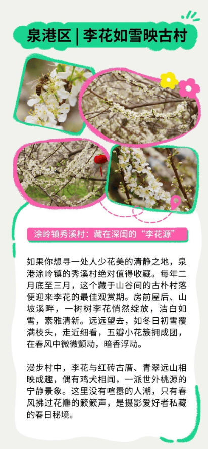 收藏！泉州春日賞花去哪里？花期+地址全攻略