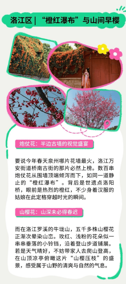 收藏！泉州春日賞花去哪里？花期+地址全攻略