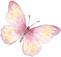 收藏！泉州春日賞花去哪里？花期+地址全攻略