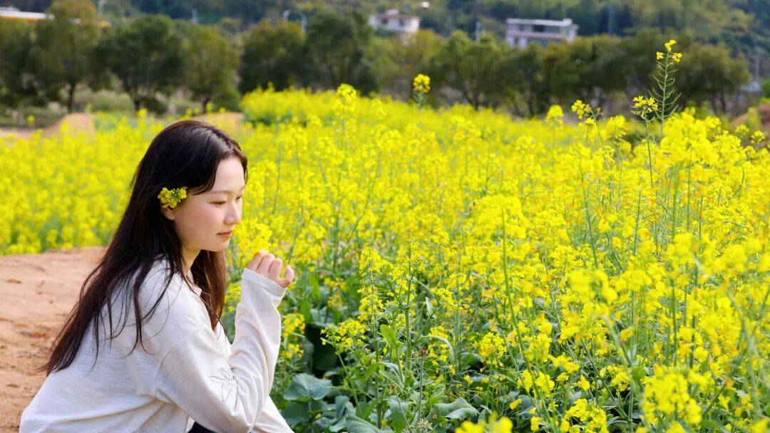 收藏！泉州春日賞花去哪里？花期+地址全攻略